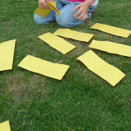 清明节扫墓 - 由来,供品,步骤,习俗【清明节资料大全】