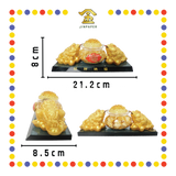 LUCKY GOODS 金蟾聚财阵