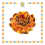 JOSS PAPER 莲花