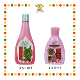 PRAYING CLEANING 佛净露【350ml(大)/120ml(小)】