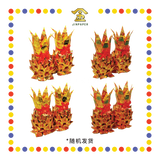 JOSS PAPER 6脚金旺来