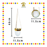 OIL LAMP 4寸 玻璃吊油灯
